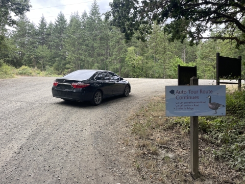 Black car in front of auto tour sign with a background of tall green trees