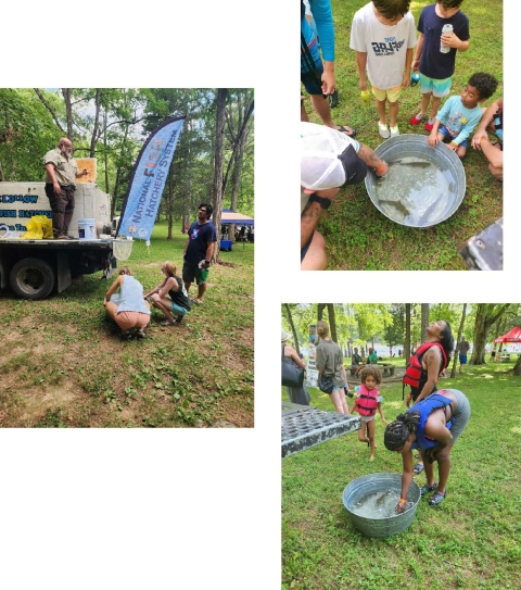 Teaching