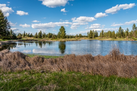 View of a wetland at Turnbull NWR