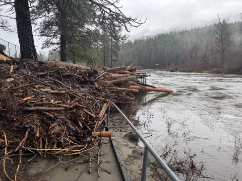 a large pile of woody debris lays across the trail used to access the ADA fishing platform at leavenworth national fish hatchery