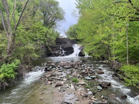Image looking upstream at a dam on Thatcher Brook in Waterbury, VT. 