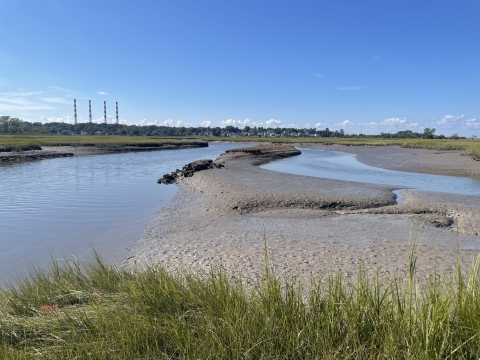 Tidal mud flat at Crab Meadow Marsh on the North Shore of Long Island, New York
