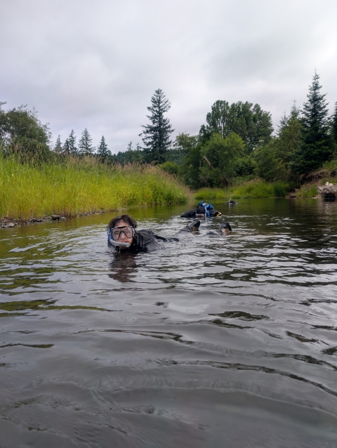 AmeriCorps Service Member snorkeling in a stream. Water in the foreground. Water, vegetation, and overcast sky in the background.