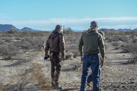 Two people with their backs to the camera look at the desert horizon at a Sonoran Pronghron