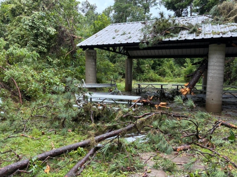 Tropical Storm Arthur Damage
