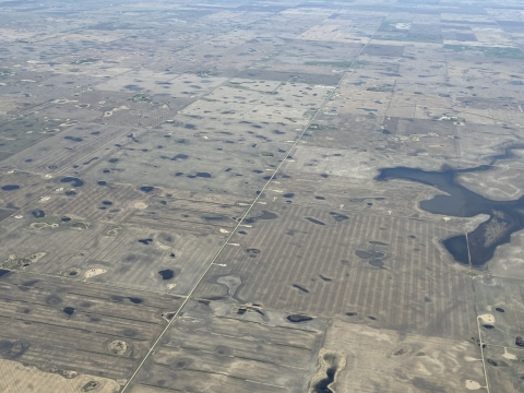 habitat in Missouri Couteau region in North Dakota