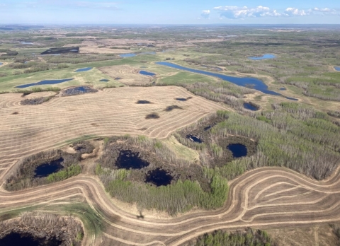 habitat east of Edmonton, Alberta