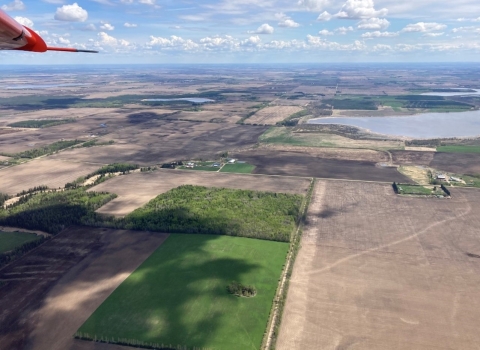 habitat in the Grand Prairie region, Alberta