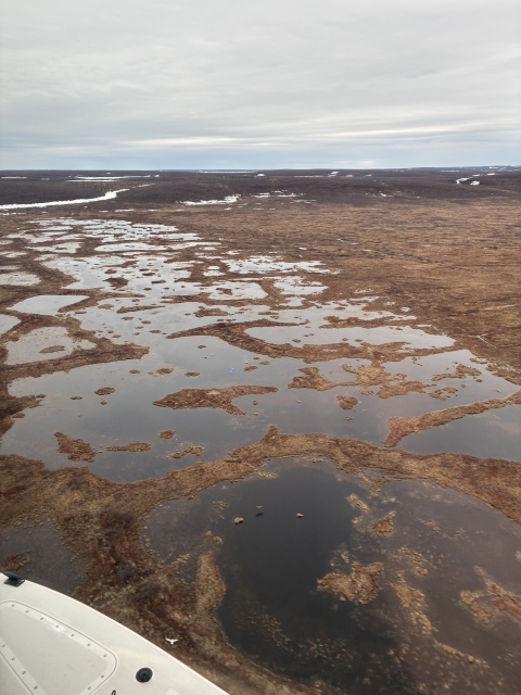 Tundra north of Inuvik, Northwest Territories