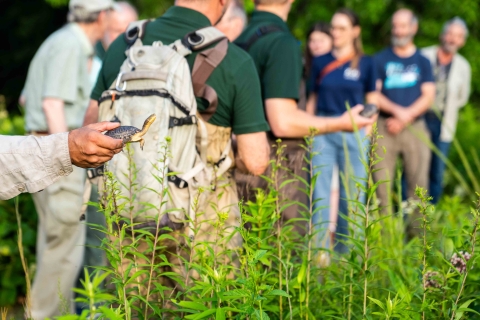 A group of people stand outside near a wetland. One of them holds a small turtle with its yellow neck outstretched as it looks toward the water.