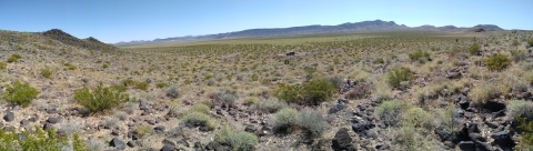 Landscape of Hidden Valley landscape location showing mountain in background and poppy plants in the foreground