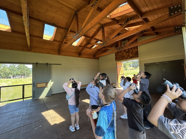Students looking through binoculars