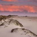 A panorama of pink clouds in a purple sky over a bright-lit series of windblown sand dunes with some low vegetation about