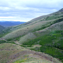 Image of a mountain canyon dotted with sagebrush, pine trees and aspen.