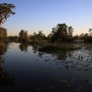 Okefenokee Swamp is quiet at sunset.