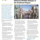 An Image of the Farming for Waterfowl in the Southeast fact sheet.