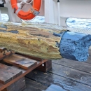 Blue serpentinite mud from a newly discovered mud volcano oozing out of the core catcher. Photo: Deep Blue Expedition SO292/2