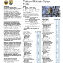 An image of the front page of the bird brochure, which provides information on bird life on the refuge and a list of species found across the refuge during each season.