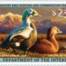 Adam Grimm's pair of spectacled eider stamp 2025-2026