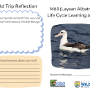 Laysan Albatross Printable Student Workbook