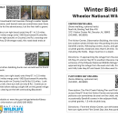 Wheeler NWR - Winter Birding Guide 2026