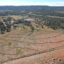 An aerial view of the pasture with trees and forested area seen in the distance