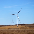 Wind turbines in a field