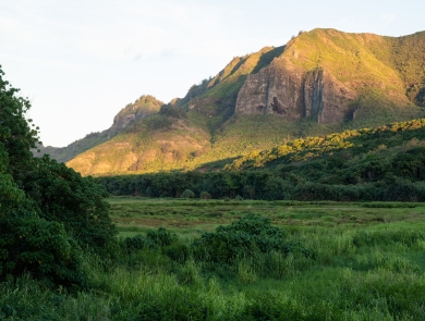 A glowing mountain at sunset sits behind a wetlands in shadow