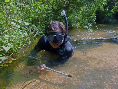 Bill Tate, wildlife biologist for U.S. Fish and Wildlife Service catches an Okaloosa darter in a stream on Eglin Air Force Base, Florida.
