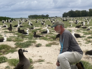 Wildlife biologist, Jon Plissner, observing black-footed albatross nest at Midway