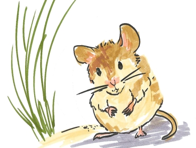 cartoon drawing of an Alabama beach mouse with a tan coat next to a shrub