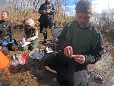A man attached a PIT tag to a freshwater mussel