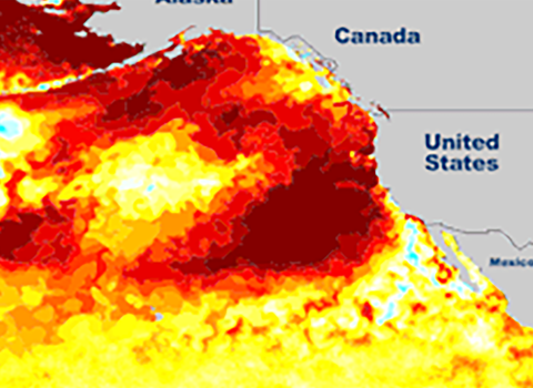 Blob map banner
