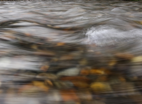 Clear river water flows over a rock-covered stream bottom