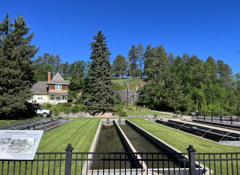 Hatchery rearing ponds, interpretive panel and museum building surrounded by green grass and pine trees.