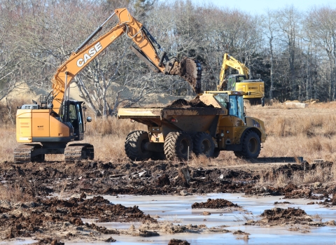 a yellow backhoe loads soil into a yellow dump truck, with water in the foreground and leafless trees in the background
