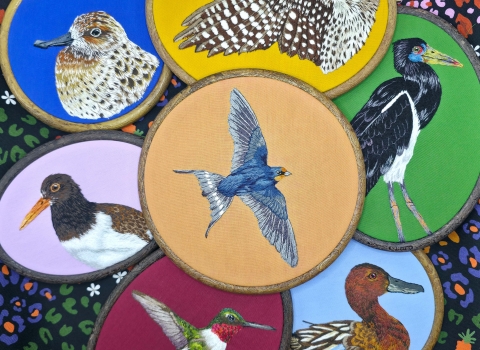 artwork of birds featured in 2026 World Migratory Bird Day